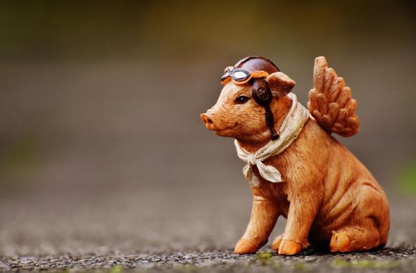cute pig toy with angle wings