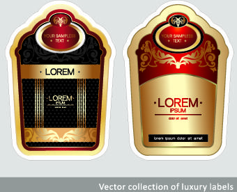 luxury vintage label vector