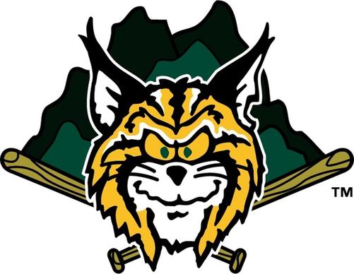 lynchburg hillcats 0