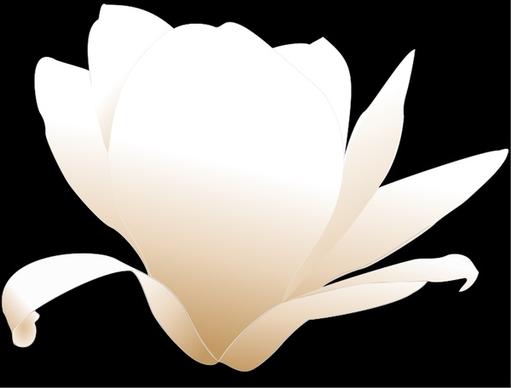 magnolia-white patricia 03r