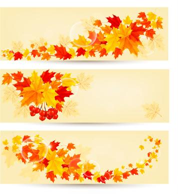 maple leaf banners vector set