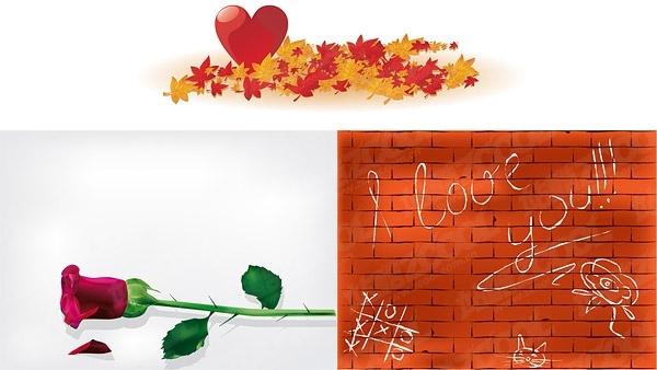 maple leaf heartshaped roses wall vector
