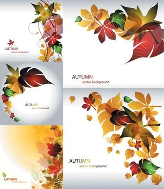 maple leaf theme vector