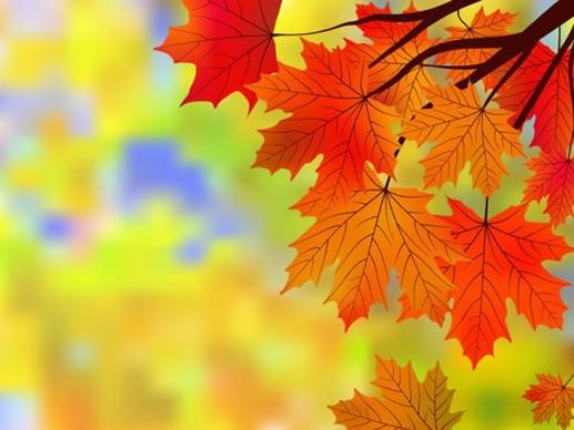 autumn background maple leaves decor bright blurred design