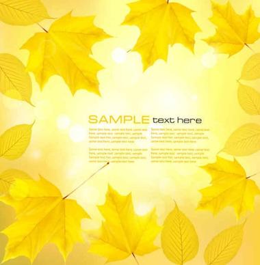 maple leaf vector background