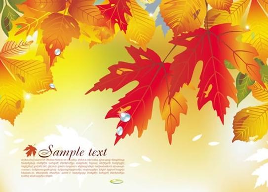 autumn background template bright colorful modern leaves decor