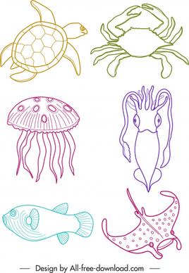 marine species icons colored handdrawn sketch