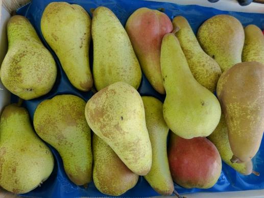 market pears eat