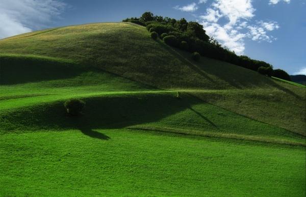 meadow mountain hill
