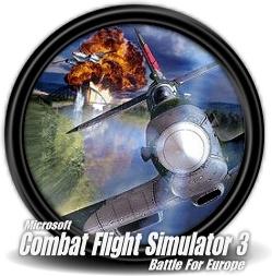 Microsoft Combat Flight Simulator 3 1