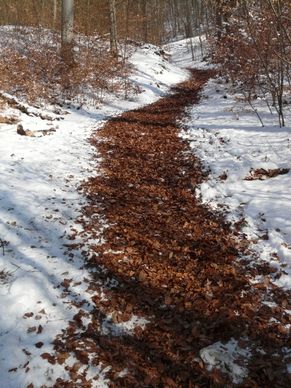 migratory path trail winter