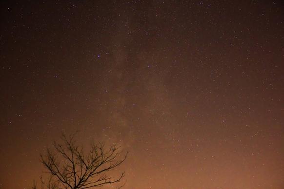 milky way above the trees at kohler andrae state park wisconsin