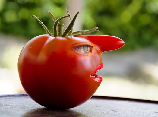 mme tomate