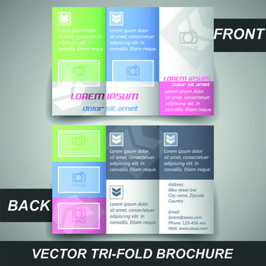 modern tri fold business brochure cover vector