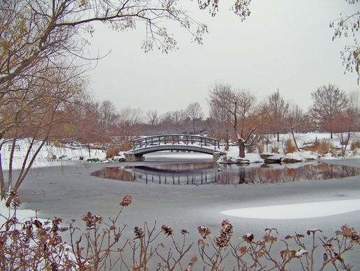 monet bridge in snowcovered park
