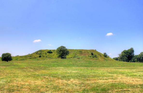 monk039s mound in the distance at cahokia mounds illinois