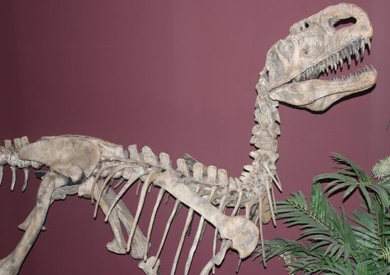 monolophosaurus
