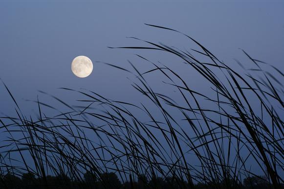 moon by the beach