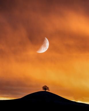 moon scene picture dark twilight silhouette
