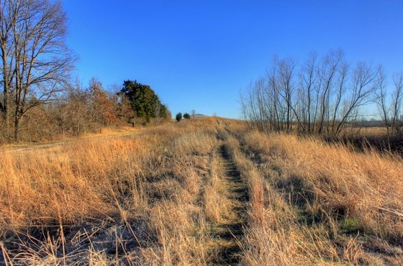 more hiking trail at weldon springs state natural area missouri