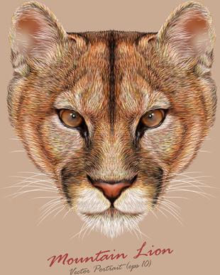 mountain lion head background vector