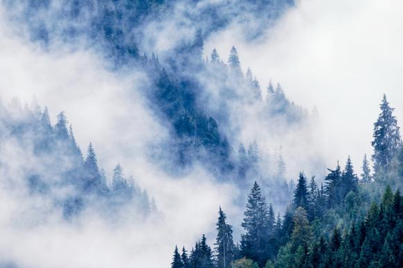 mountain scenery picture foggy forest scene 