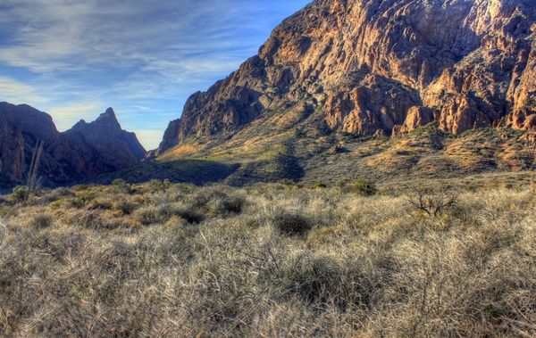 mountains from the basin at big bend national park texas