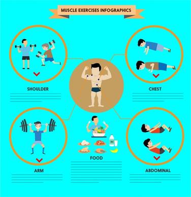 muscle exercises infographics illustration with various exercises