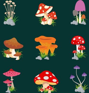 mushroom icons collection various colored types isolation
