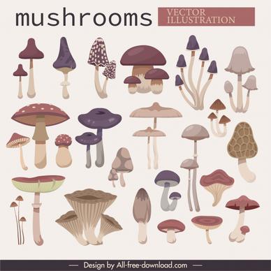 mushroom icons colored classical sketch