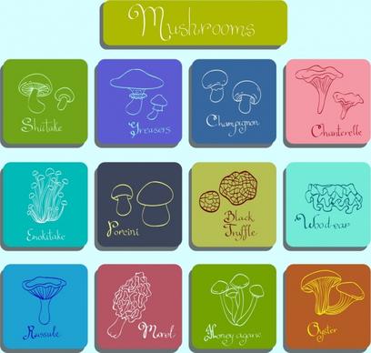 mushroom icons various flat types squares isolation