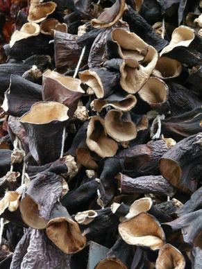 mushrooms dried judas ears