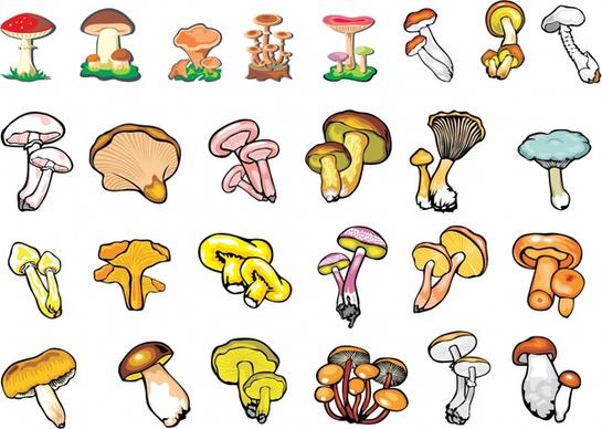mushroom icons colored handdrawn sketch