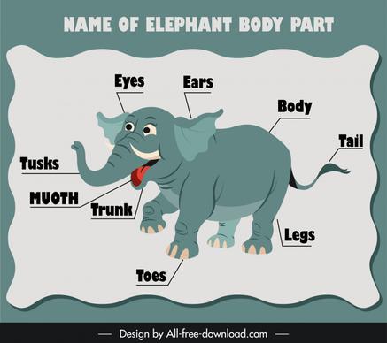 name of elephant body part education template cute cartoon handdrawn sketch