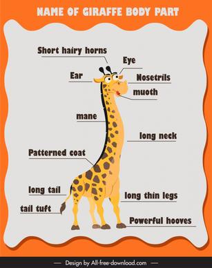 name of giraffe body part education template cute cartoon sketch