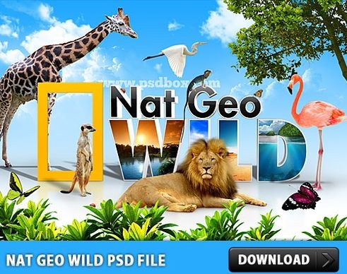 Nat Geo Wild PSD File