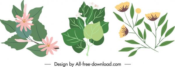 natural elements icons classical floral leaves sketch
