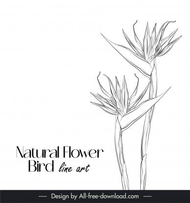 natural flower bird line art design elements handdrawn sketch