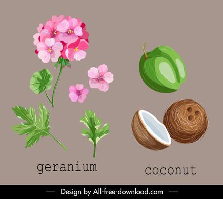 natural herb icons geranium coconut sketch
