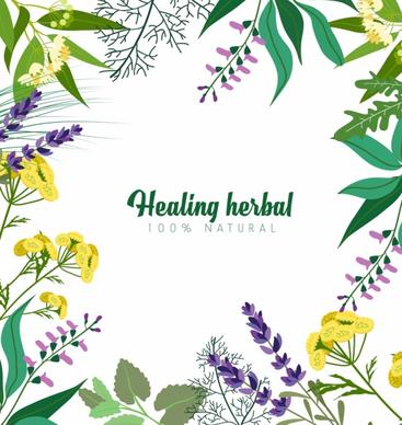natural herbs advertising colorful plant icons decoration