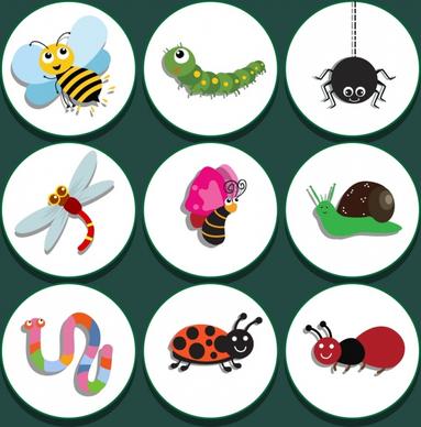 natural insect icons isolation colored stylized design