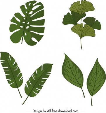 natural leaves icons templates classical green shapes