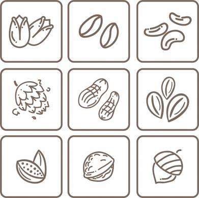 natural nut icons collection flat monochrome sketch