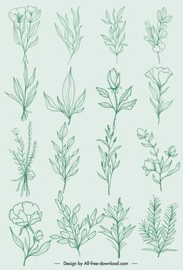 natural plants icons classic handdrawn botany leaf sketch