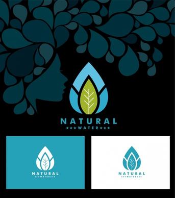 natural water icon sets leaf icon ornament