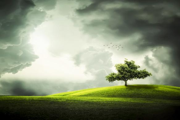 nature backdrop picture cloudy sky tree scene