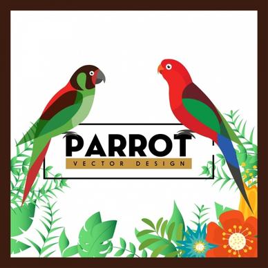 nature background colorful parrots flowers decoration
