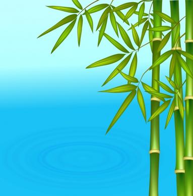 nature background green bamboo blue water surface icons