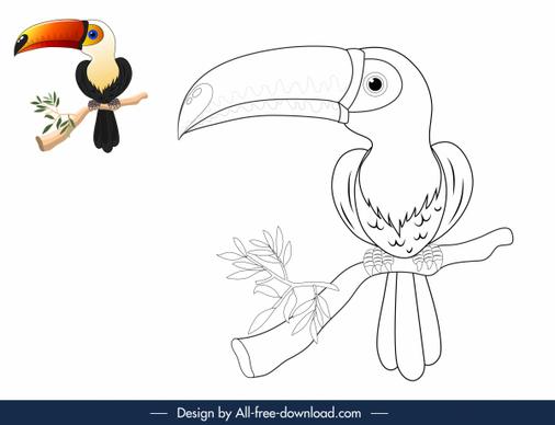 nature coloring book elements toucan sketch