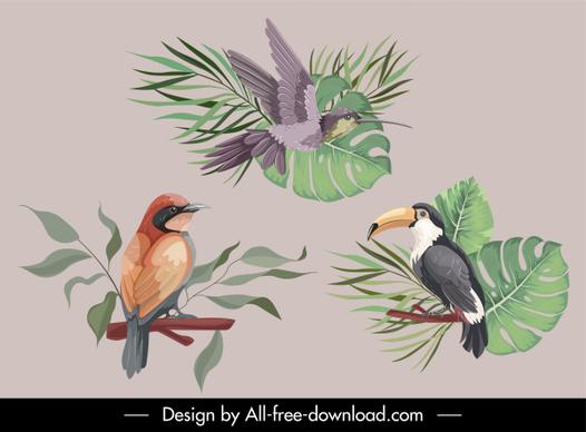 nature design elements birds creatures sketch classical handdrawn
